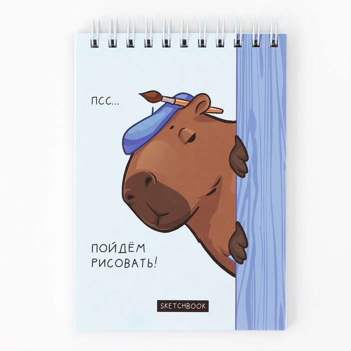 

Скетчбук ArtFox Копибара 10107446, A6, 40 л