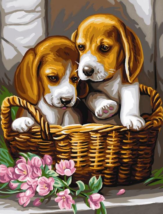 

Картина по номерам Цветной Щенки в корзине, 30x40 см, Щенки в корзине