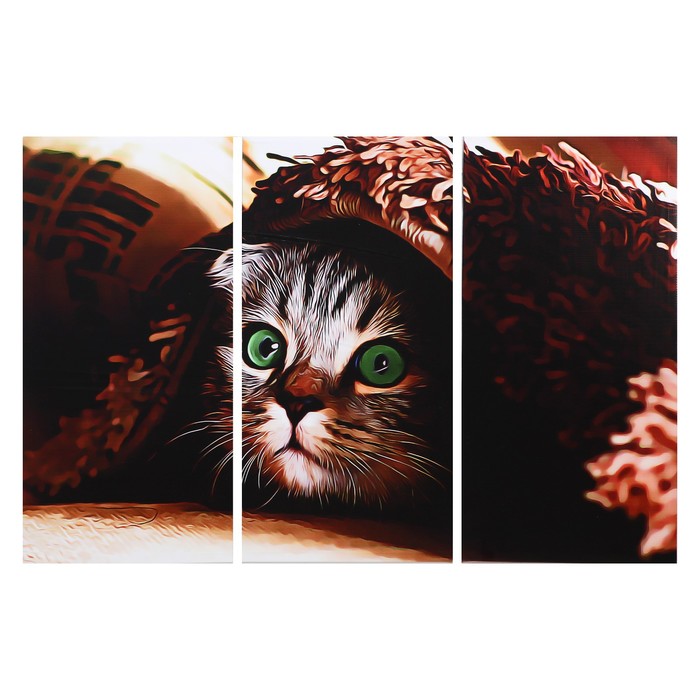 

Картина модульная на подрамнике "Котик" 65*100 см (3шт х32 х 65см)