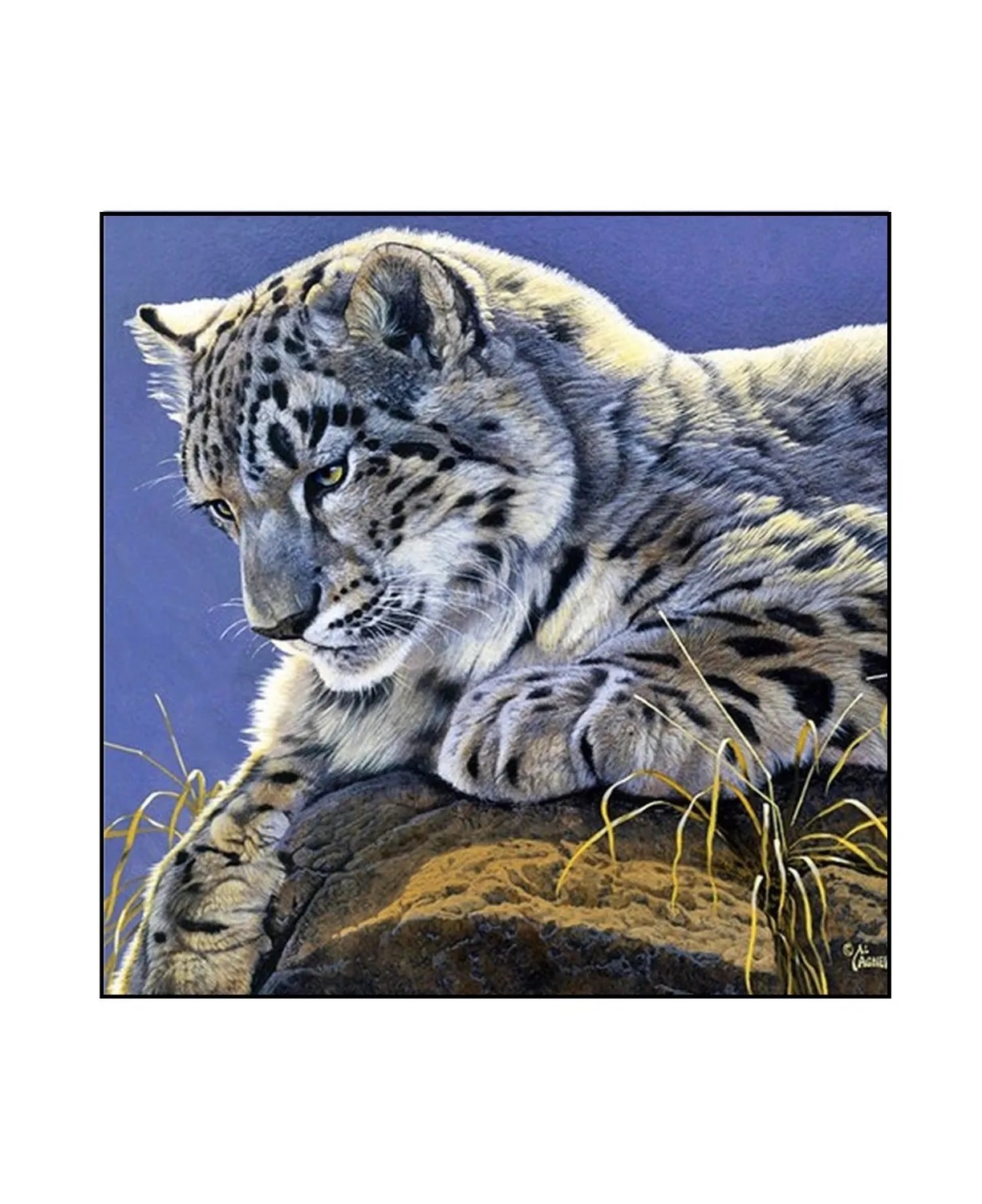 

Алмазная мозаика картина стразами Тигр, 30х30 см 40874 00114017, Тигр