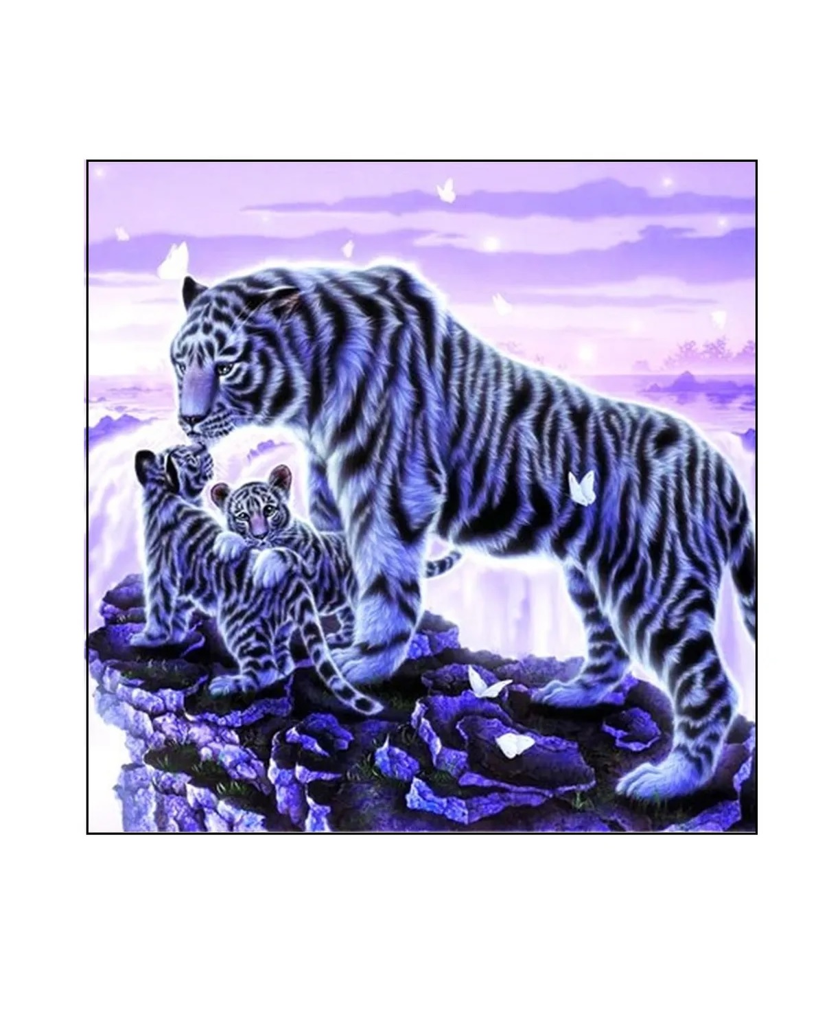 

Алмазная мозаика картина стразами Три тигра, 30х30 см 40875 00114018, Три тигра