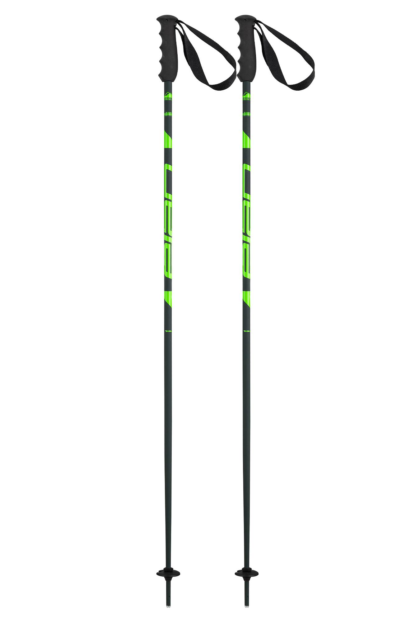 

Горнолыжные Палки Elan Speedrod Green (См:130) 2024-25, Зеленый;серый, Speedrod