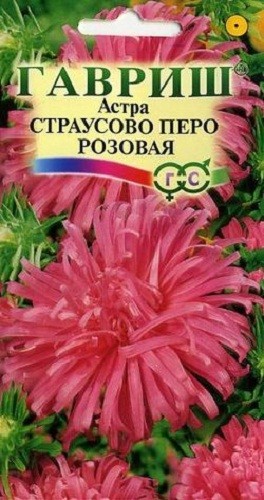 Семена астра Гавриш Страусово перо розовая 10000544 1 уп.