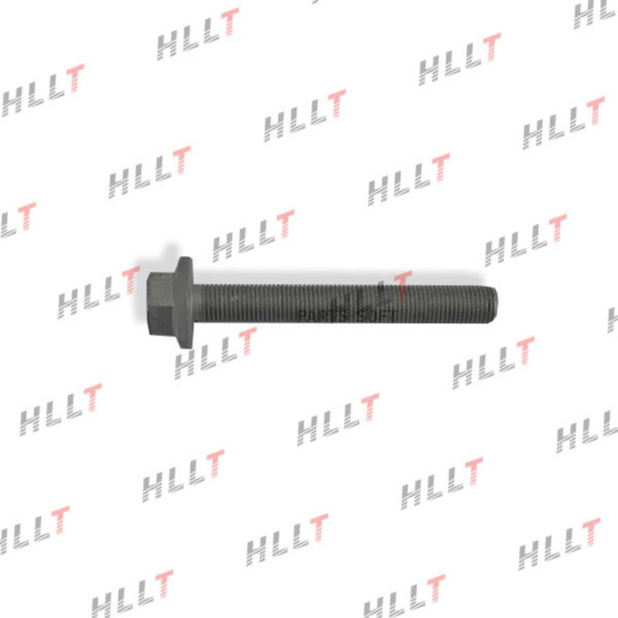 Болт M14 Х 105 - 10,9 Bmw 1Шт HLLT HLL00023