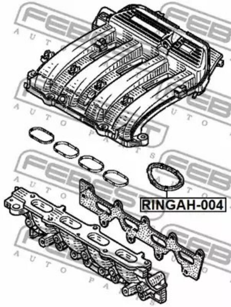 

FEBECT RINGAH-004 Кольцо уплотнительное впускного коллектора