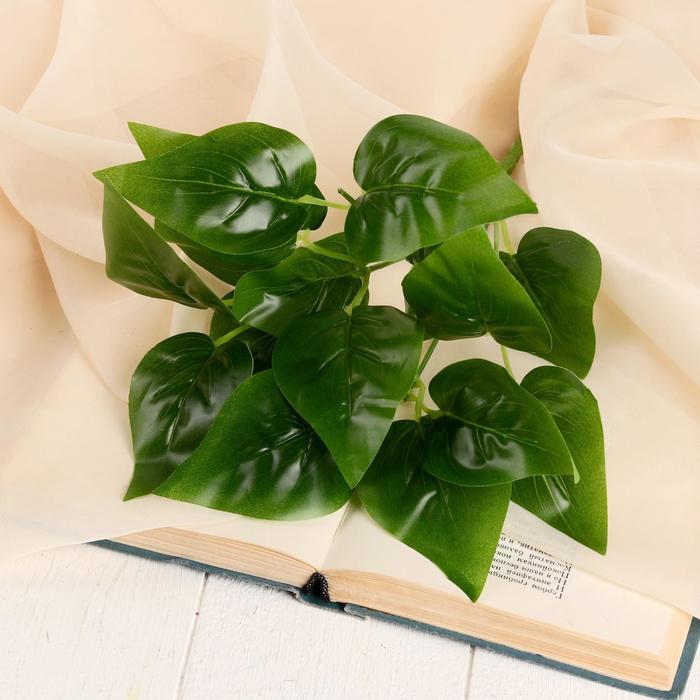 

Букет "Зелёный лист" 32 см (2 шт), Зеленый