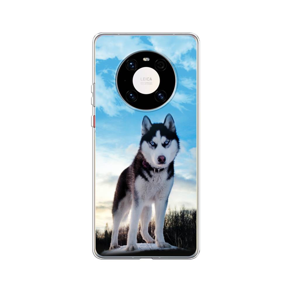 

Чехол Awog на Huawei Mate 40 Pro "Хаски 3", Белый;черный;голубой, 6104450-2
