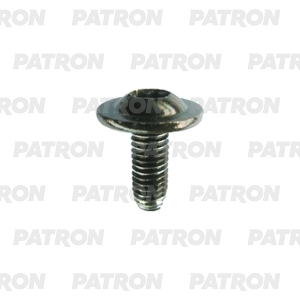 PATRON P37-2682T Болт металлический черн torx M6X18X16  10шт