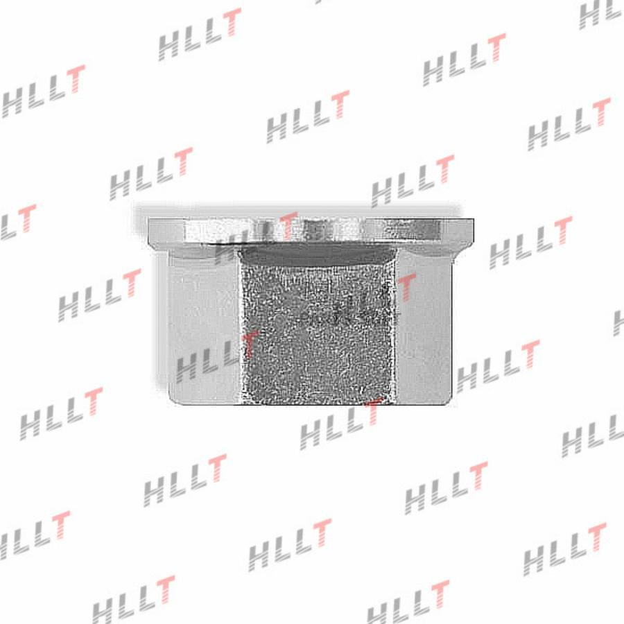 Гайка Nissan Cube 09- 1Шт HLLT HLL00201