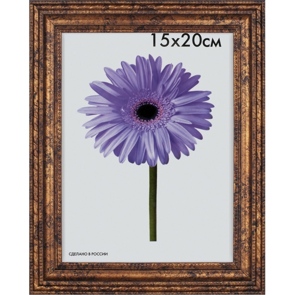 

ООО Изометрика Рамка пласт. Adele 15*20см бронза 0078-6-1535
