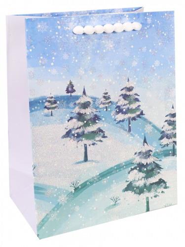 фото Пакет подарочный dream cards волшебная зима 18x23x10 см пкп-3749