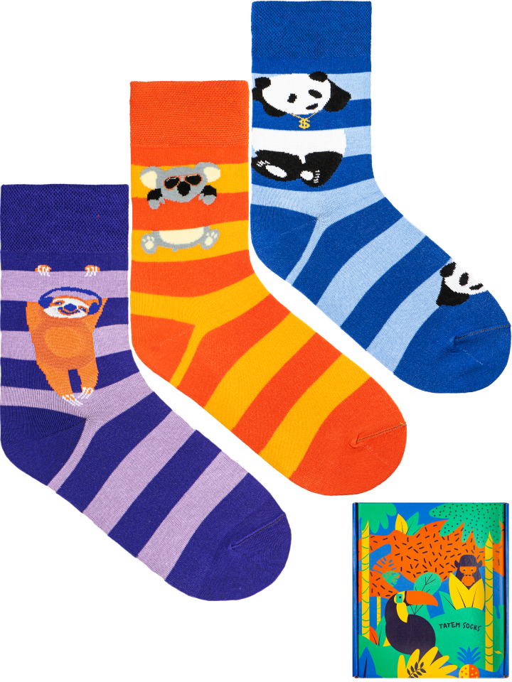 

Подарочный набор носков мужской Tatem Socks 984 разноцветный 41-46, 984