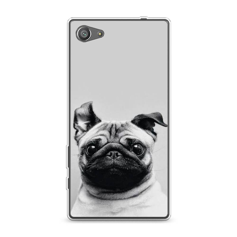 

Чехол Awog на Sony Xperia Z5 compact "Ушастый мопс", Разноцветный, 52250-1