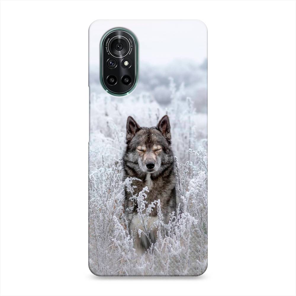 

Чехол Awog "Волк в поле" для Honor V40 Lite, 6105120-1