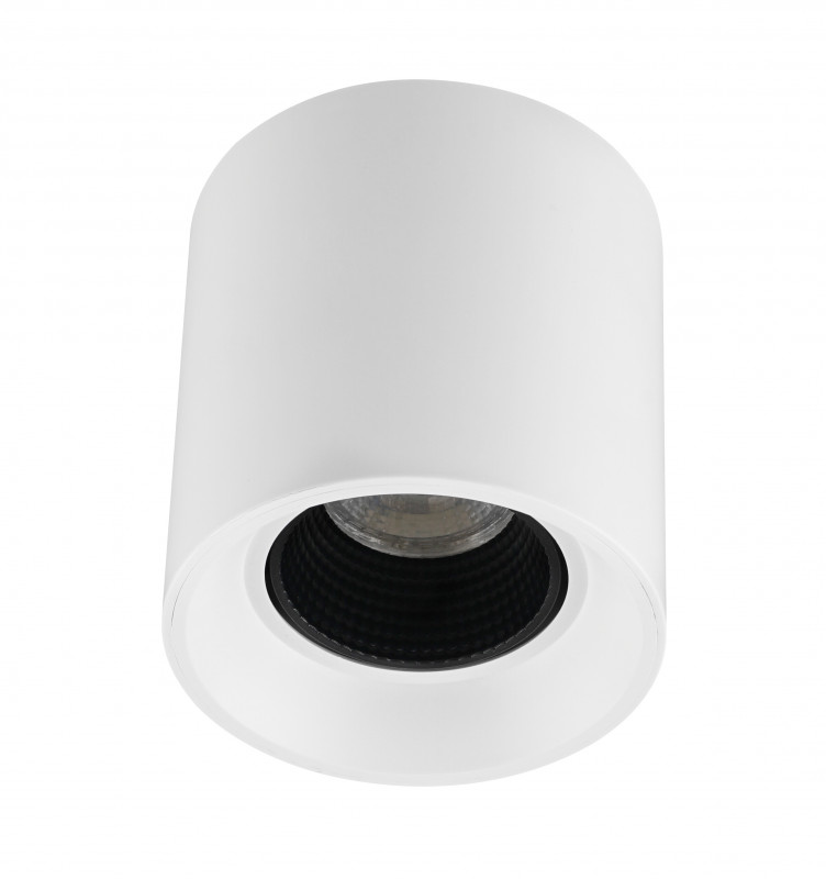 

Накладной светильник Denkirs DK3090-WH+BK, Rodvig