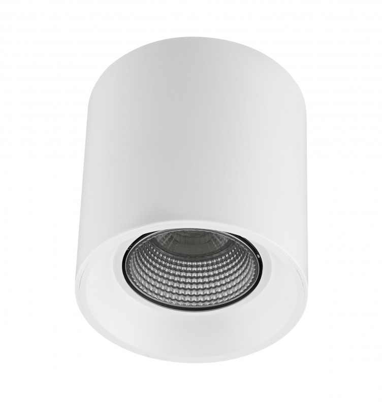 

Накладной светильник Denkirs DK3090-WH+CH, Rodvig