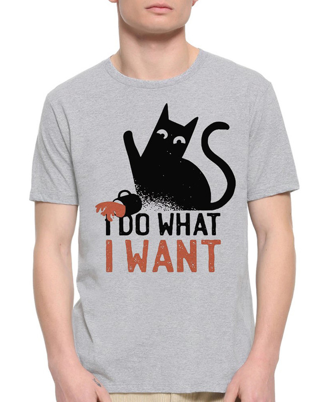 

Футболка мужская Dream Shirts Кот Хулиган I Do What I Want серая M, "Кот Хулиган I Do What I Want"