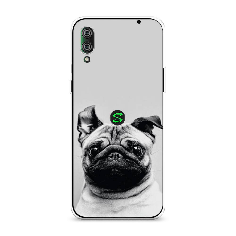 

Чехол Awog на Xiaomi Black Shark 2/2 Pro "Ушастый мопс", Разноцветный, 36450-1