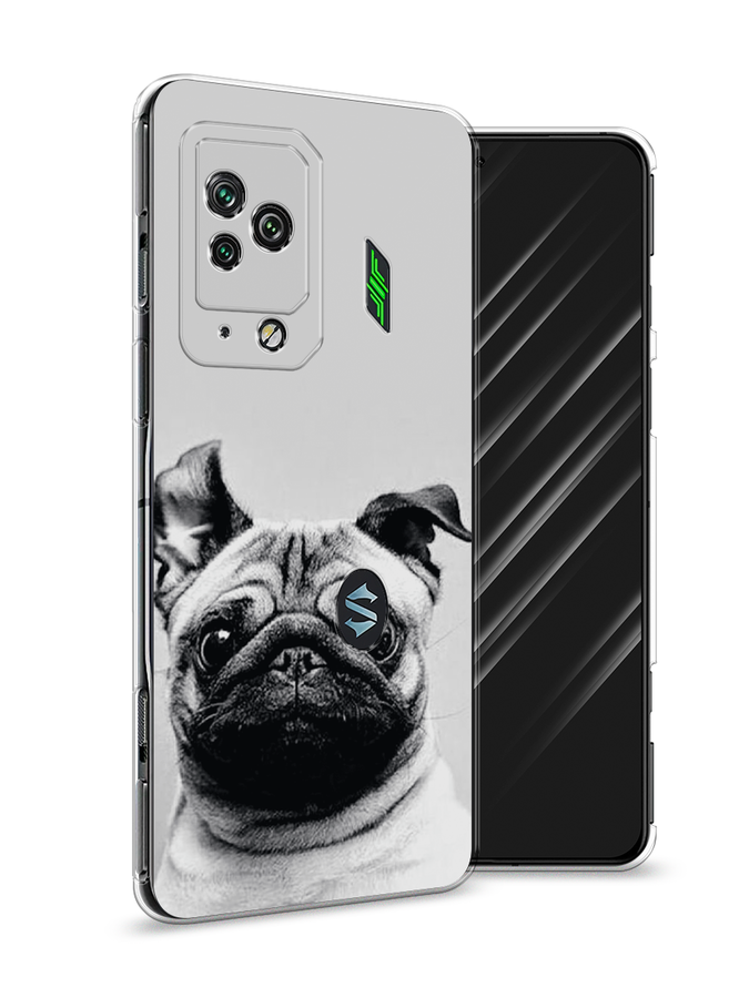

Чехол Awog на Xiaomi Black Shark 5 Pro "Ушастый мопс", Разноцветный, 314150-1