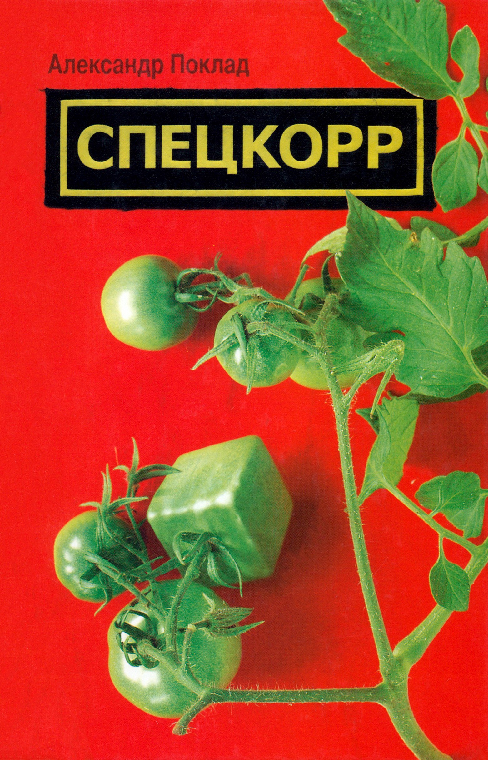 

Спецкорр