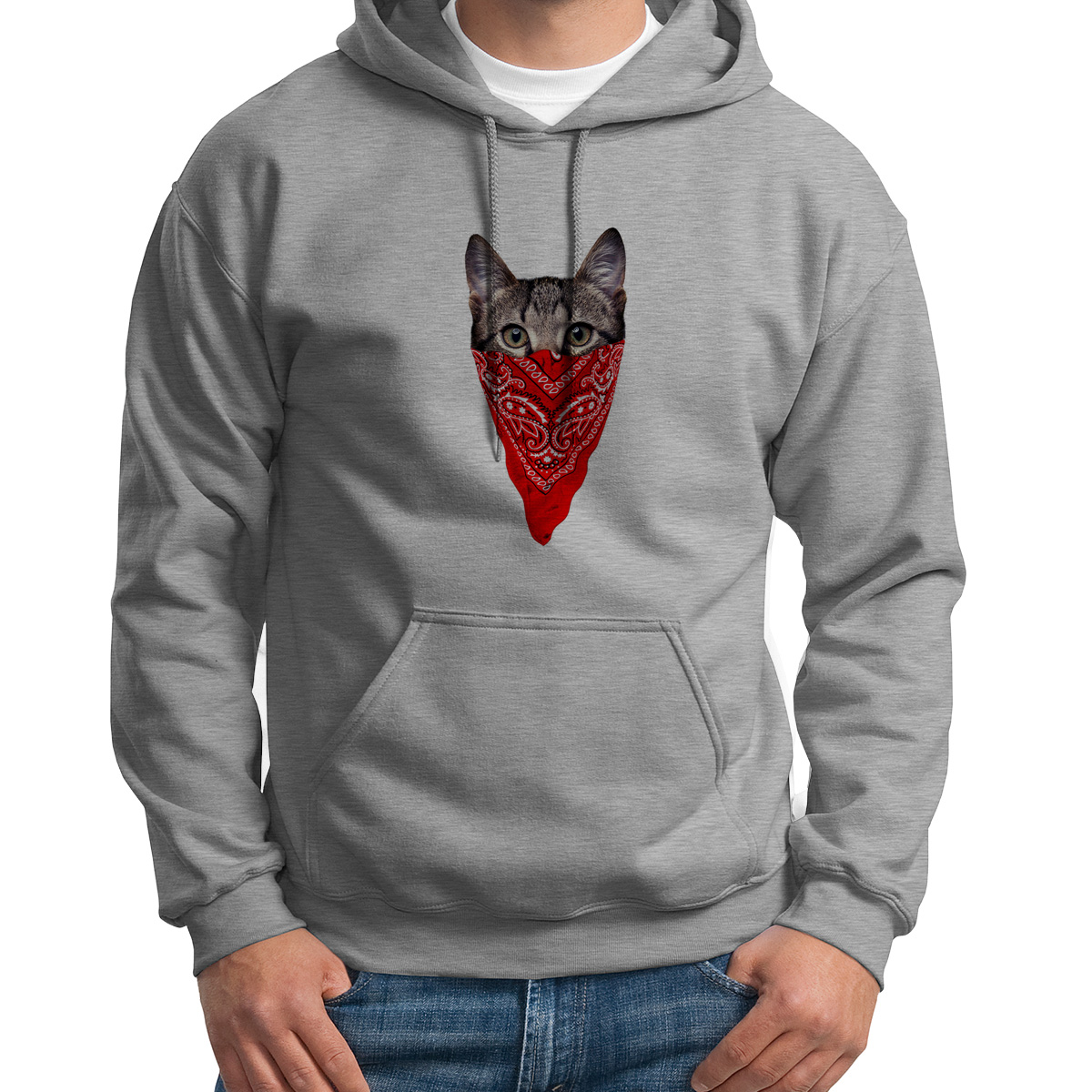 

Худи унисекс CoolPodarok Кот в платке серое 54 RU, 4S015779