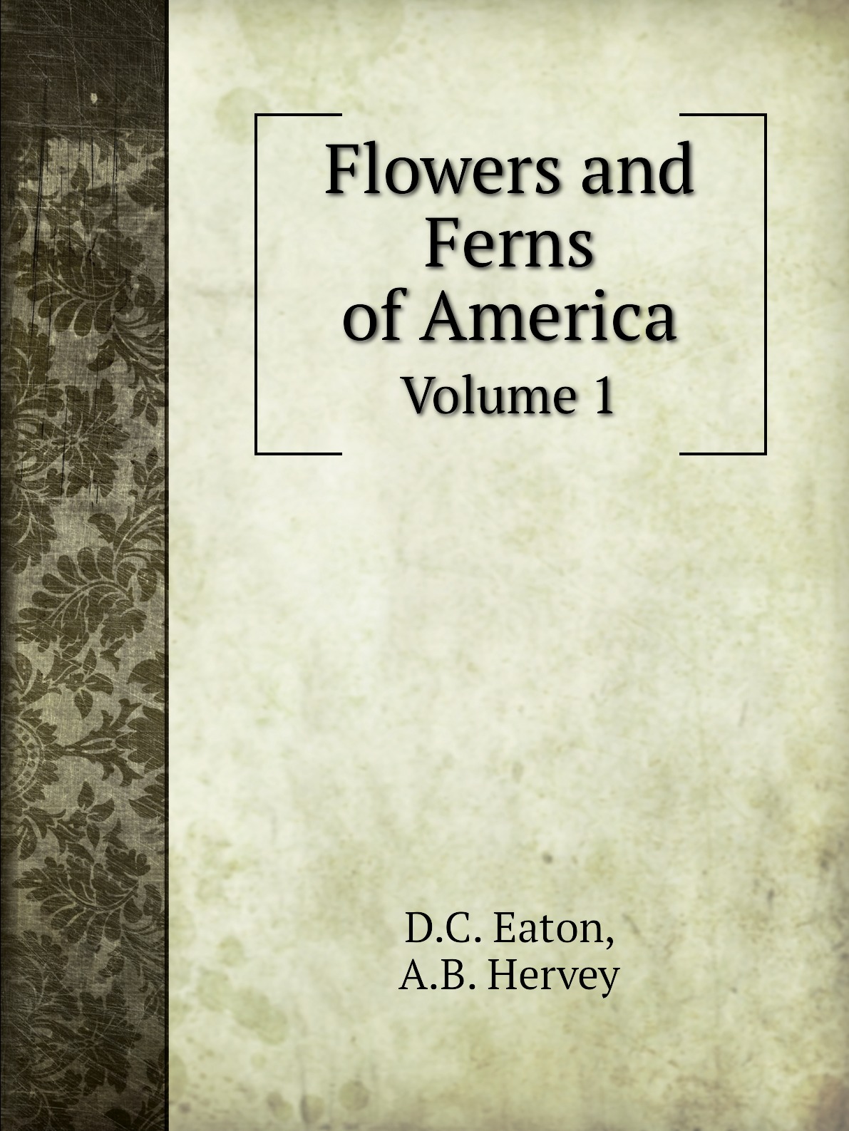 

Flowers and Ferns of America