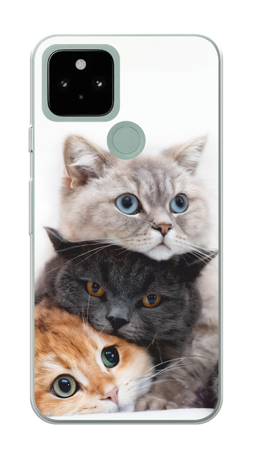 

Чехол на Google Pixel 5 "Пушистые мордашки", Серый;черный;оранжевый, 270750-1