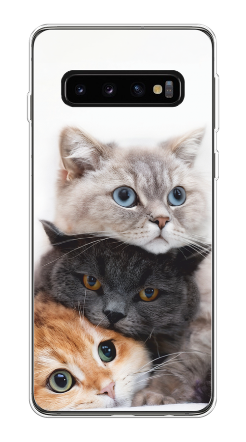 

Чехол на Samsung Galaxy S10 Plus "Пушистые мордашки", Серый;черный;оранжевый, 27150-1