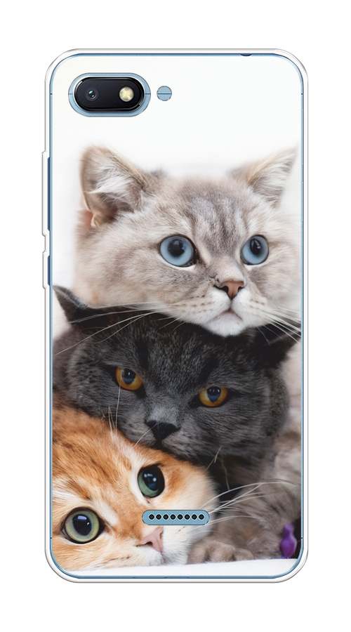 

Чехол на Xiaomi Redmi 6A "Пушистые мордашки", Серый;черный;оранжевый, 34150-1