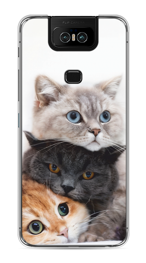 

Чехол на Asus Zenfone 6 ZS630KL "Пушистые мордашки", Серый;черный;оранжевый, 43950-1