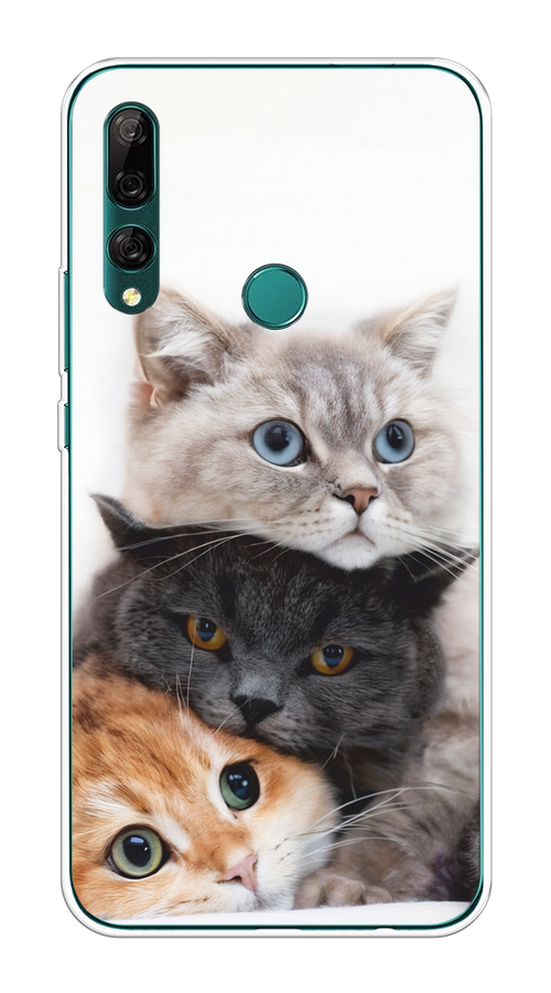 

Чехол на Huawei Y9 Prime 2019 "Пушистые мордашки", Серый;черный;оранжевый, 611950-1