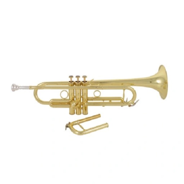 

Труба Bb CarolBrass CTR-5000L-YST-Bb-L, CarolBrass CTR-5000L-YST-Bb-L
