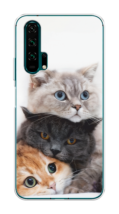 

Чехол на Honor 20 Pro "Пушистые мордашки", Серый;черный;оранжевый, 69350-1