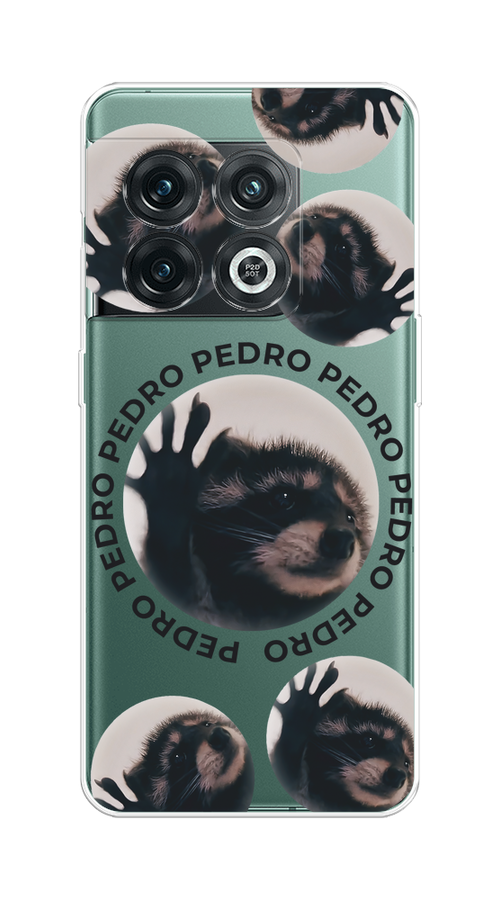 

Чехол на OnePlus 10 Pro 5G "Pedro енот", Черный;бежевый;прозрачный, 152150-1