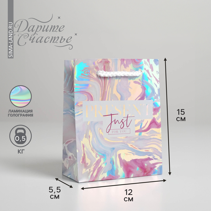 

Пакет подарочный Дарите Счастье Present 12 х 15 х 5,5 см