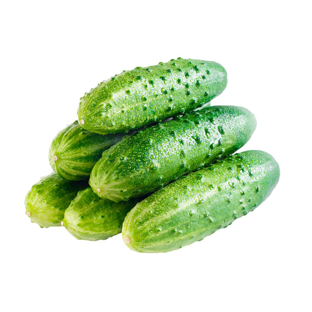 

Огурцы короткоплодные