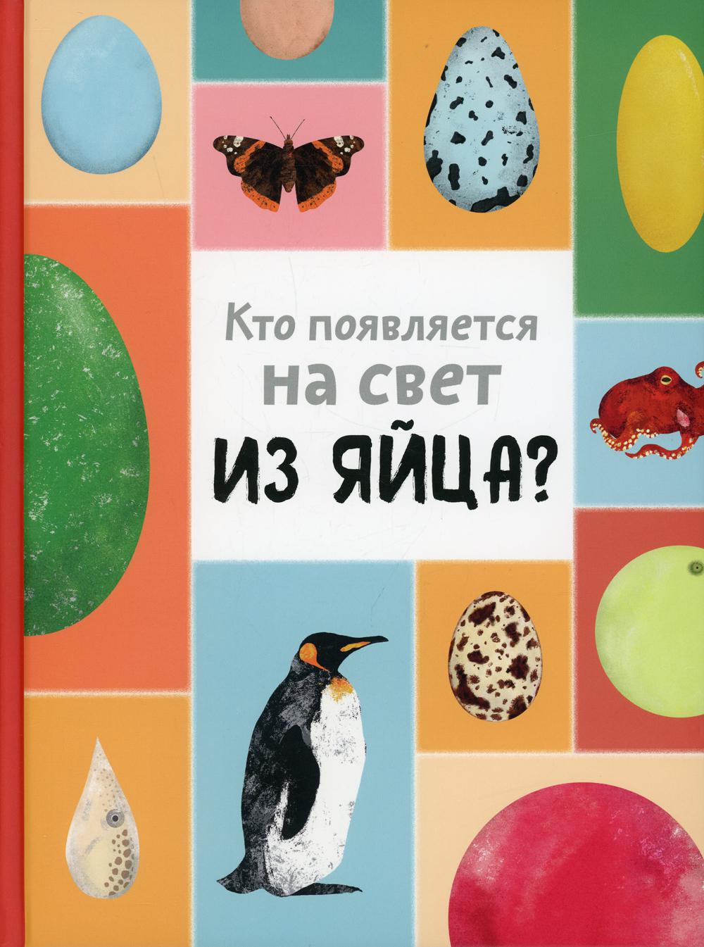 фото Книга кто появляется на свет из яйца? энас-книга