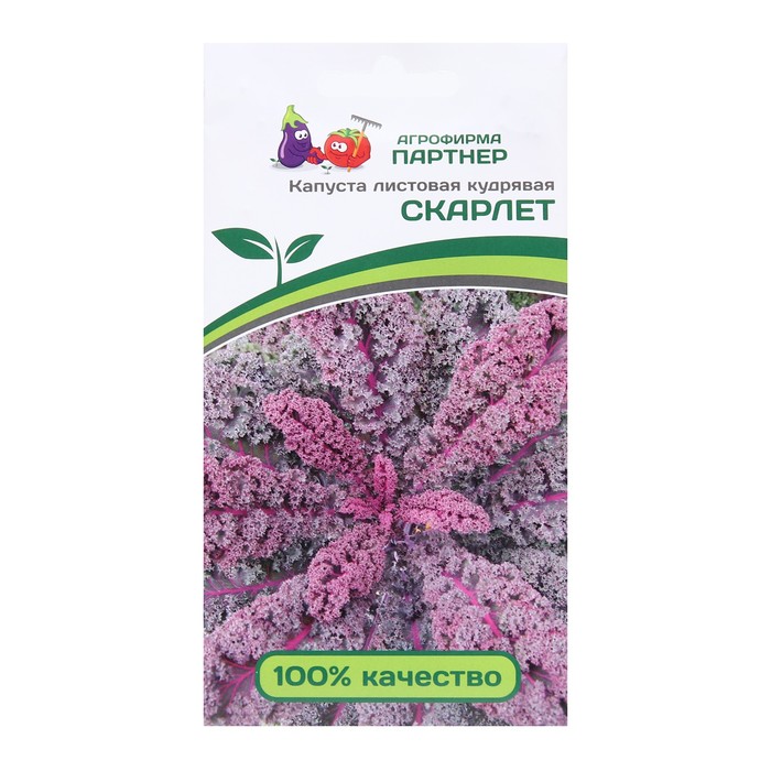 

Семена Капуста листовая кудрявая "Скарлет", 0,3 г