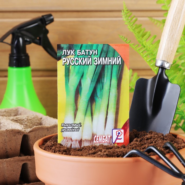 

Семена лук Русский зимний Сембат 4030961 5 уп.