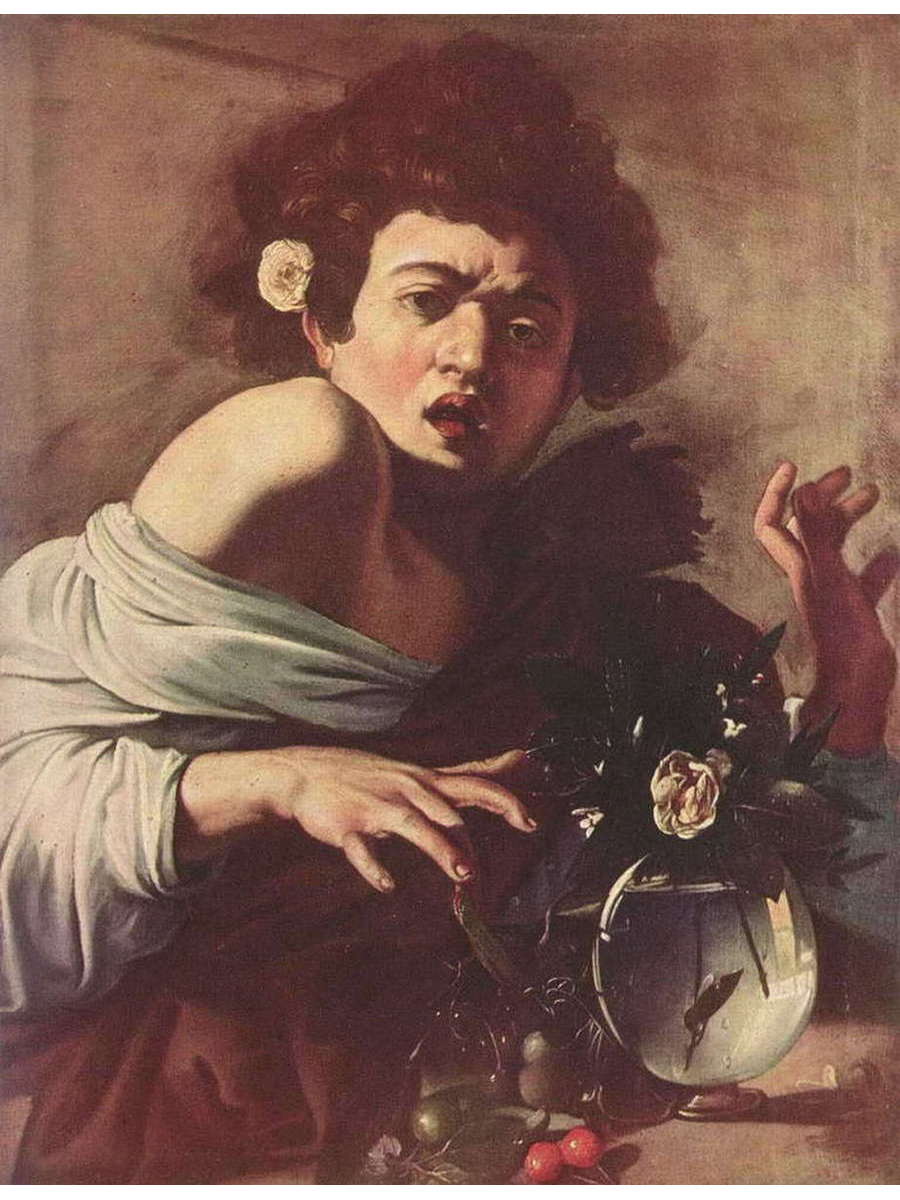 

Постер DRABS A2 Микеланджело Меризи де Караваджо Юноша укушенный ящерицей