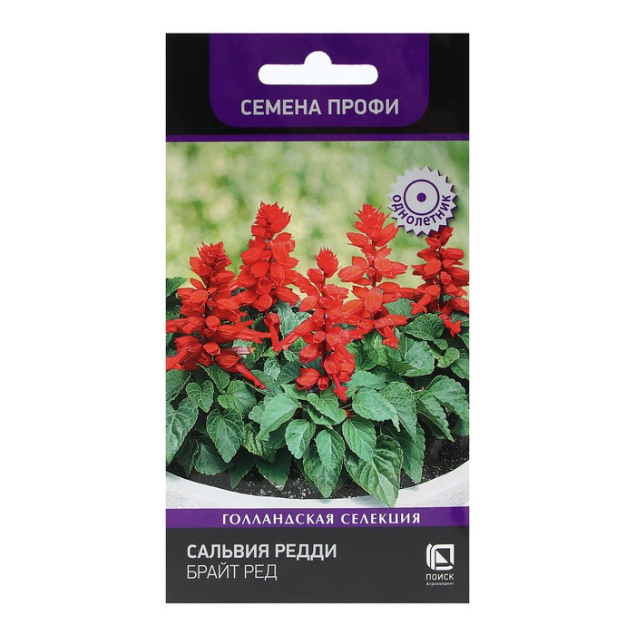 

Семена сальвия Поиск Брайт Ред 1 шт.