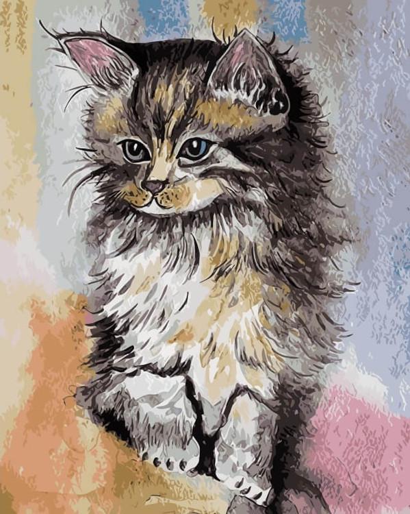 

Картина по номерам Цветной Котенок, 30x40 см, Котенок