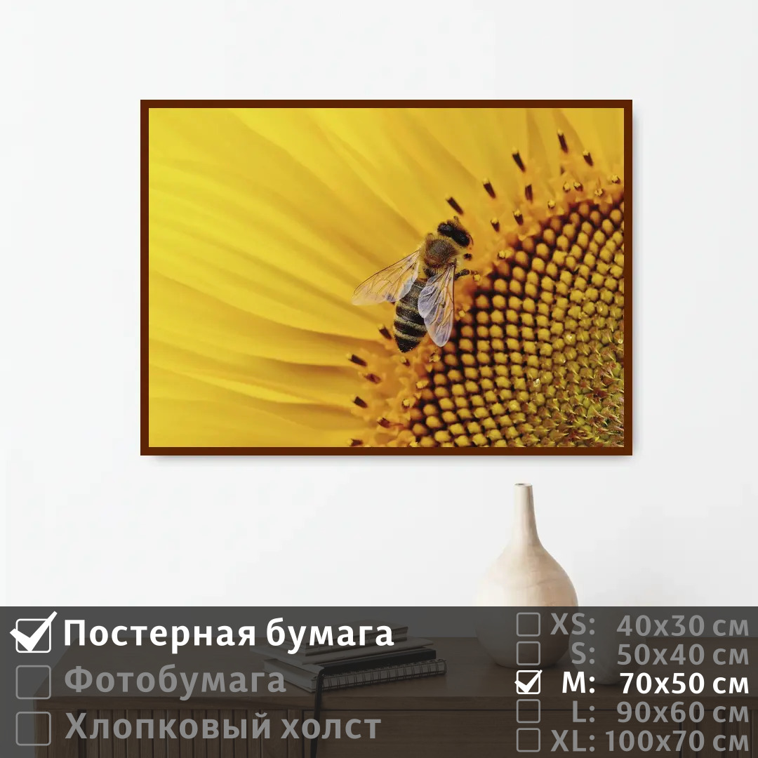 

Постер на стену ПолиЦентр Пчела в подсолнухе 70х50 см, ПчелаВПодсолнухе
