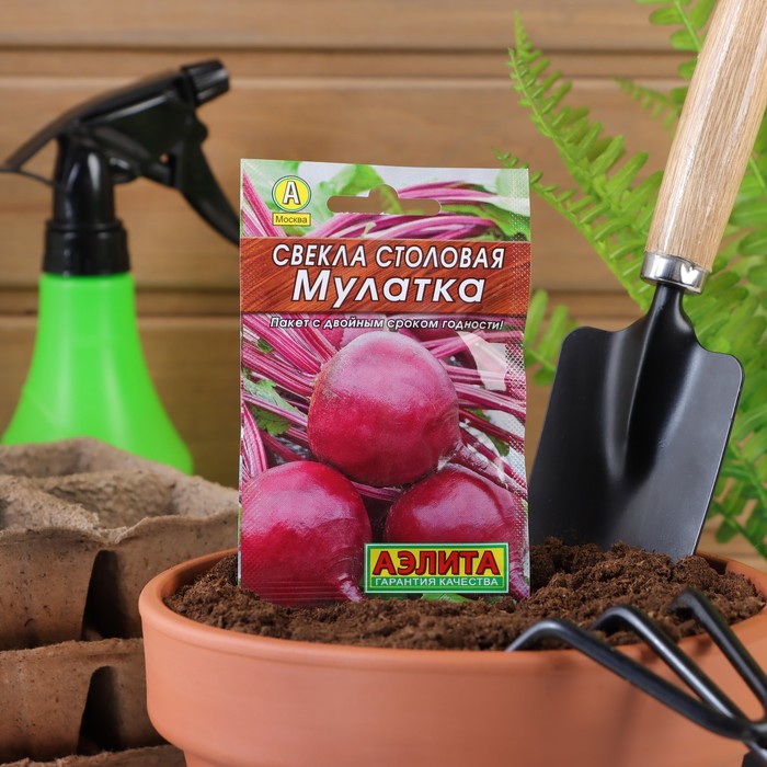 

Семена свекла Мулатка Аэлита Р00007475 3 уп.