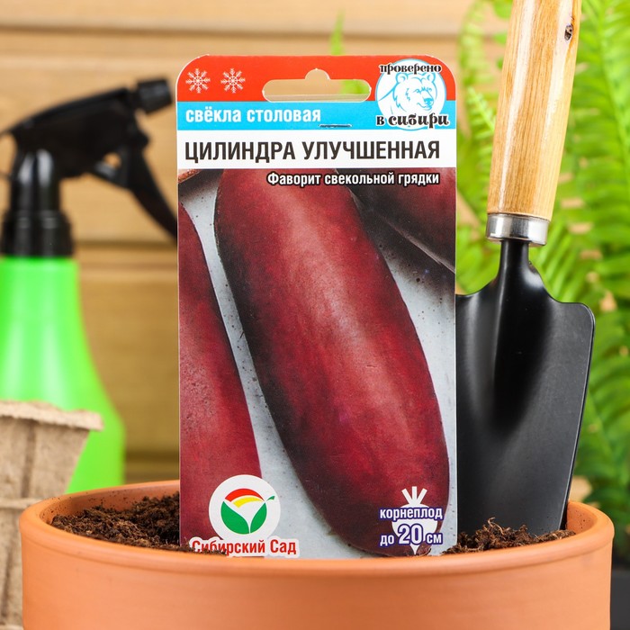 

Семена свекла Цилиндра улучшенная Сибирский сад Р00019520 2 уп.