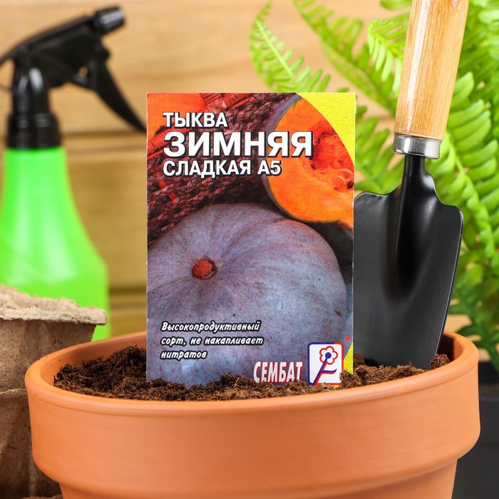 

Семена тыква Зимняя сладкая Сембат Р00007475 5 уп.