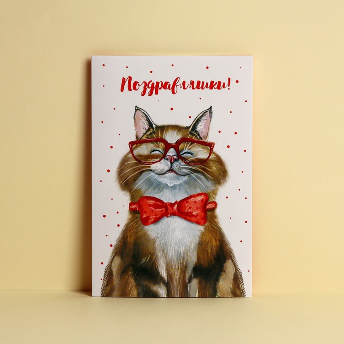 

Открытка «Поздравляю», добрый кот, 12 x 18 см (10 шт.), Разноцветный