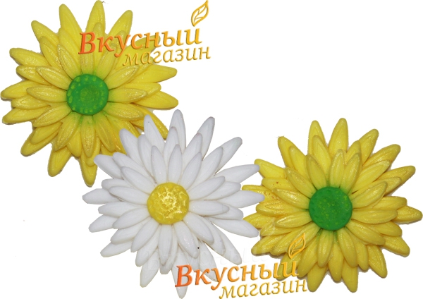 

Выемка-плунжер для марципана/мастики ХРИЗАНТЕМА, Белый
