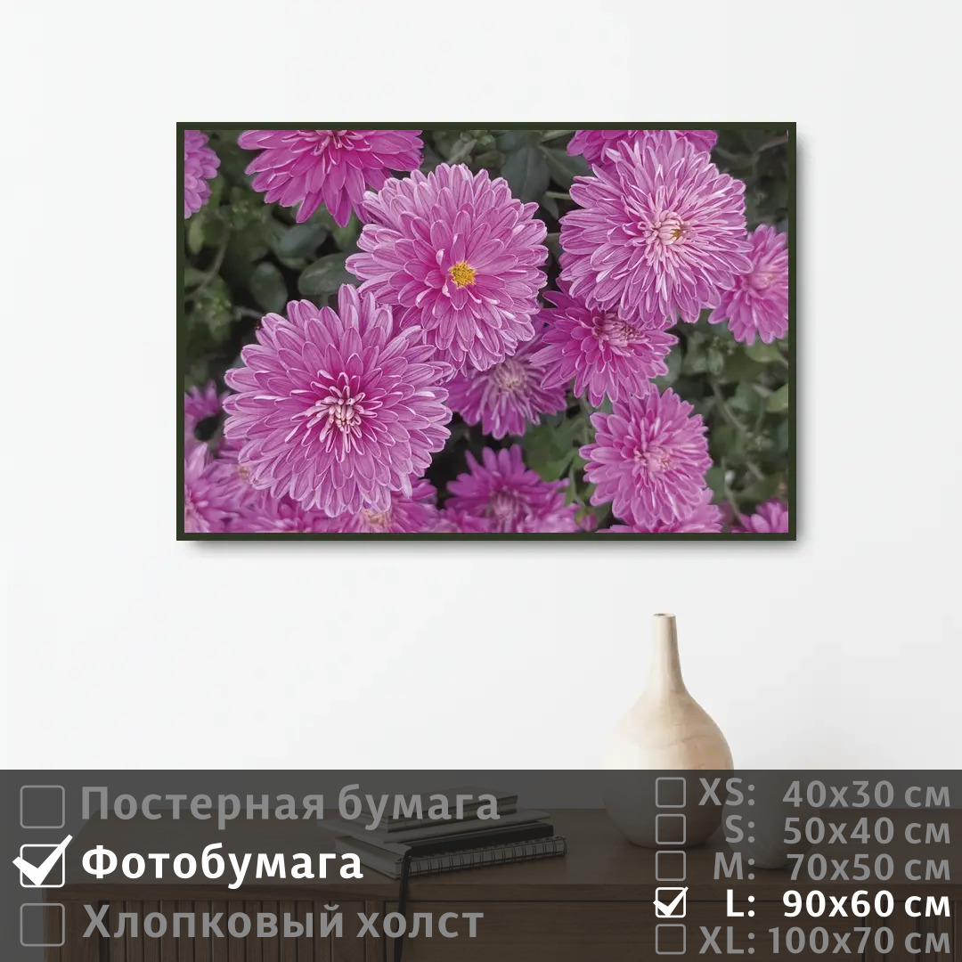 

Постер на фотобумаге ПолиЦентр Нежные хризантемы 90х60 см, НежныеХризантемы