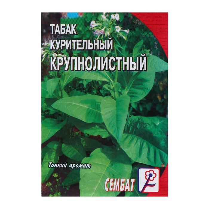 Семена Табак Крупнолистный 512 001 г4 шт 308₽